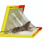 Trampa adhesiva para ratas: Nueva versión con pegamento superresistente, atrapa ratas muy rápidamente.