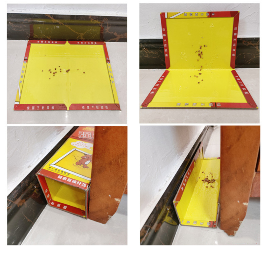 Trampa adhesiva para ratas: Nueva versión con pegamento superresistente, atrapa ratas muy rápidamente.