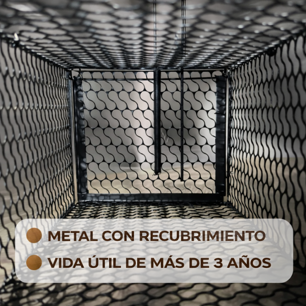 🇪🇸 Trampa automática para ratones – ‘Cárcel móvil’ para roedores