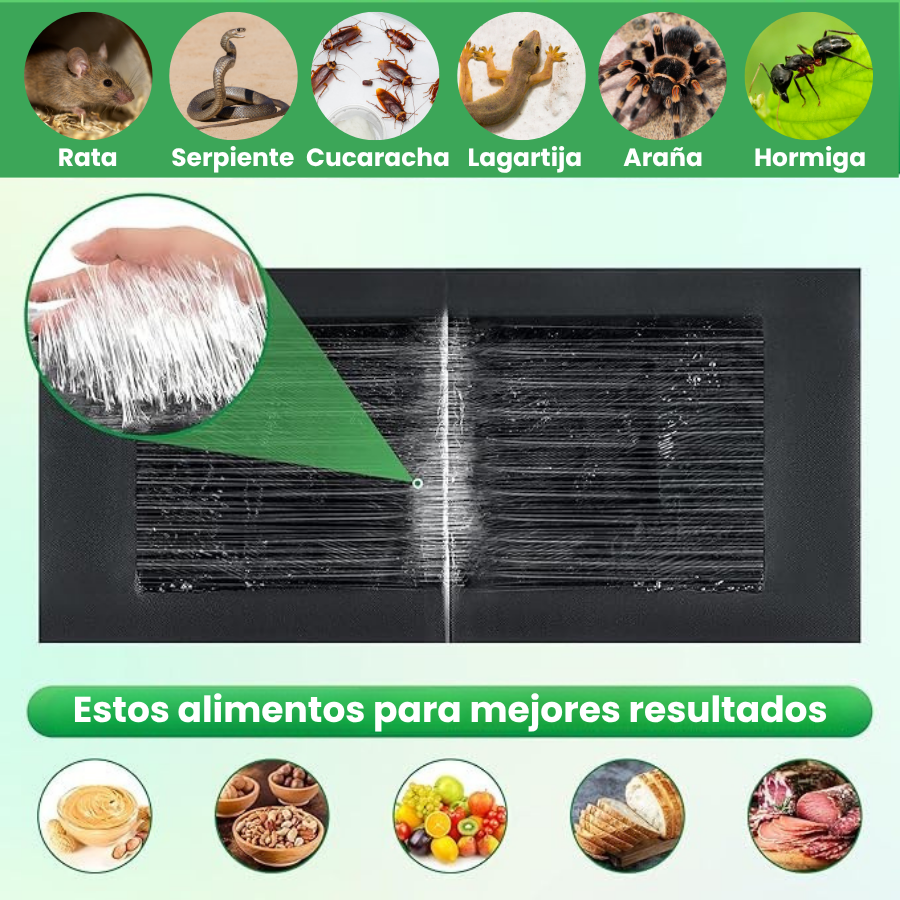 Trampas Adhesivas ProfesionaIes – Extra Grandes para Atrapar Mas Rápido