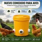Kit Alimentador Para Aves De Corral