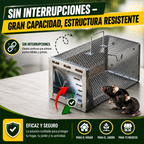 BestSeller™ - Jaula Trampa Humanitaria para Ratones, Ratas y Ardillas Vivas