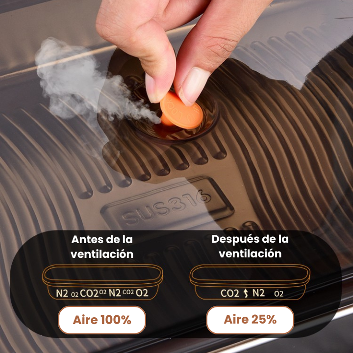 Recipiente hermético multifuncional en acero inoxidable 316 (22x15x6 cm)