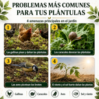 🌱 Cubierta Protectora para Plantas – Reutilizable y Fácil de Instalar