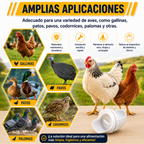 Kit Alimentador Para Aves De Corral