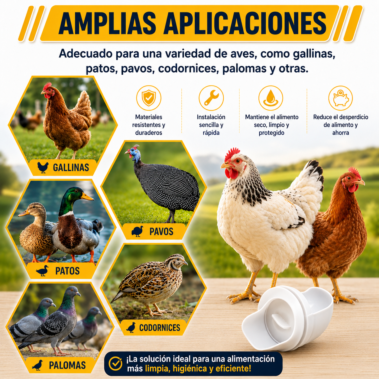 Kit Alimentador Para Aves De Corral