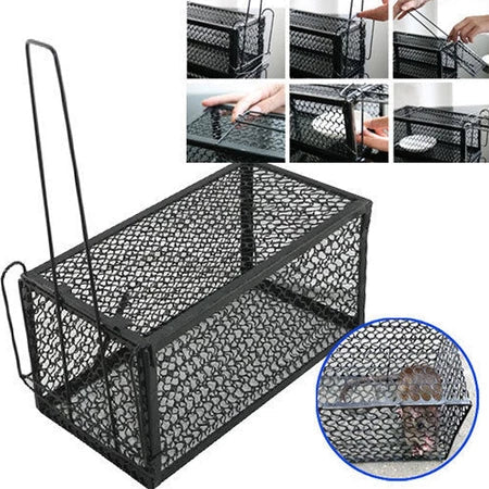 🇪🇸 Trampa automática para ratones – ‘Cárcel móvil’ para roedores