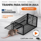 🇪🇸 Trampa automática para ratones – ‘Cárcel móvil’ para roedores