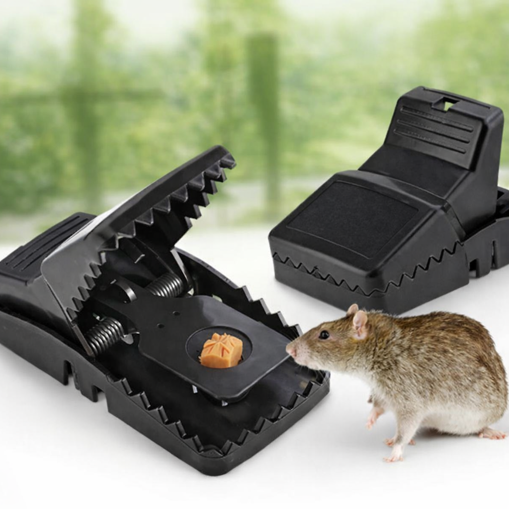 🇪🇸 Trampa para ratas Trapper T-Rex