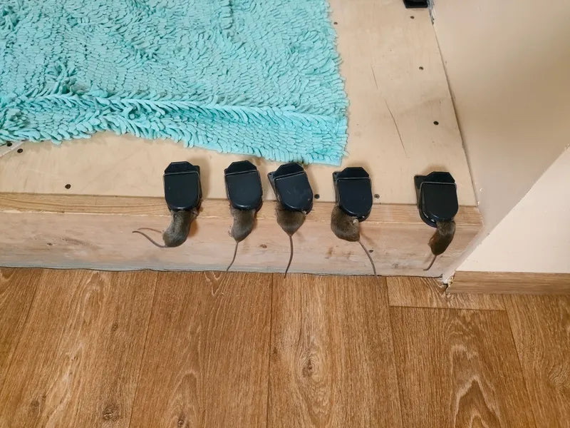 🇪🇸 Trampa para Ratones de Activación Automática Súper Sensible – Captura Rápida y Precisa