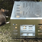 BestSeller™ - Jaula Trampa Humanitaria para Ratones, Ratas y Ardillas Vivas