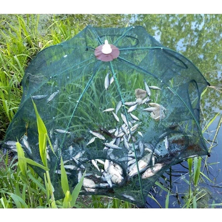 🇪🇸 Jaula Trampa De Pesca Tipo Paraguas De Gran Tamaño Con Múltiples Entradas